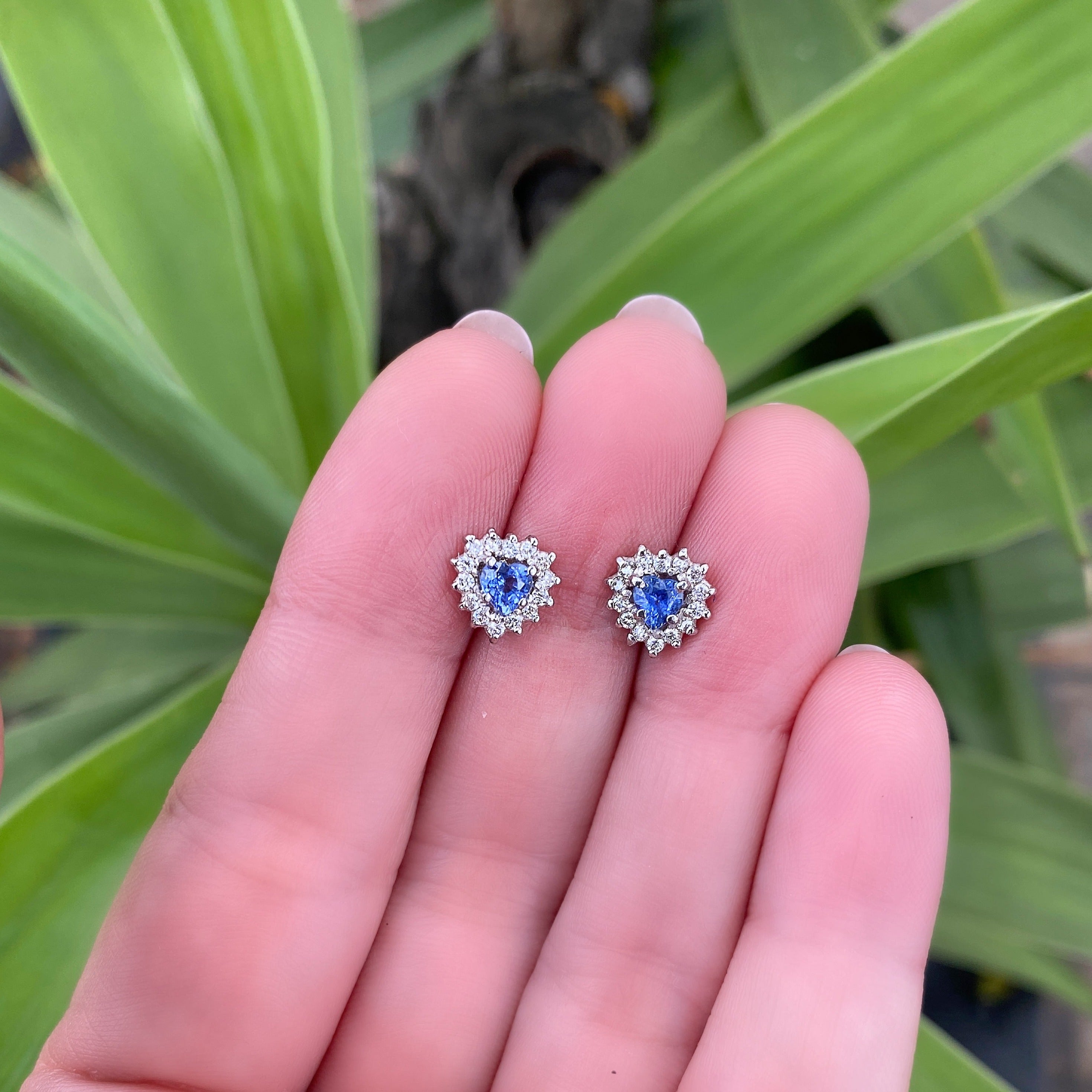 Aretes Camelia Zafiros corazón 4 mm  - Oro Blanco